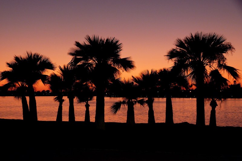 sunset san diego california weather palms coast 4k