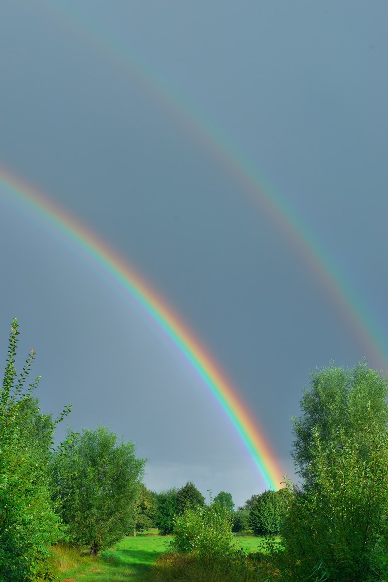 sunrise rainbow good morning friendly skies 4k