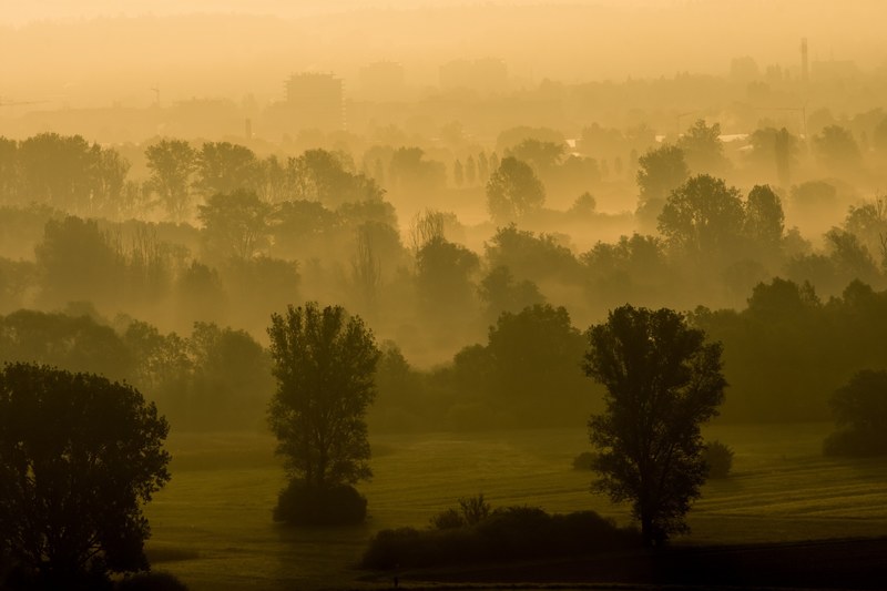 sunrise mood fog nature morgenstimmung sun sky 4k