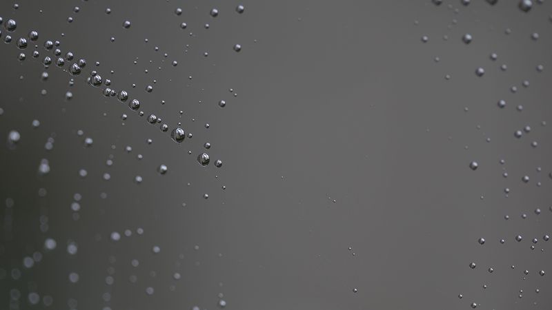 spider web, close-up, drop, 4k