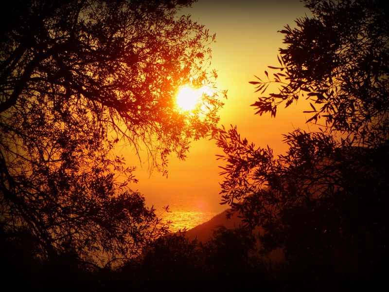 sun sunset sea water corfu greece trees plants 4k