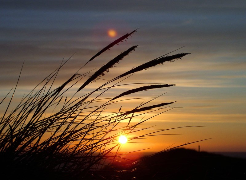 sun grass dune denmark sky north north sea 4k