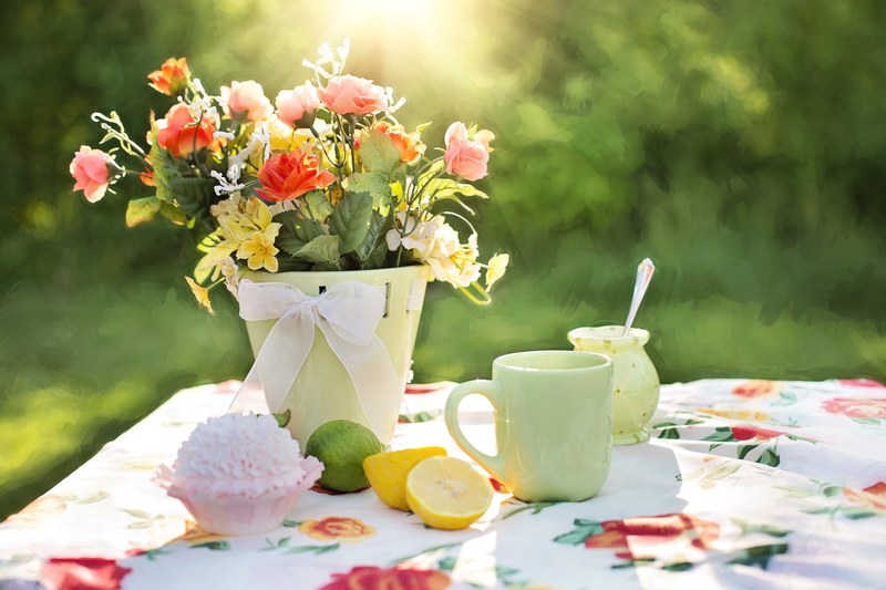 summer still life garden outdoors flowers in pot 4k