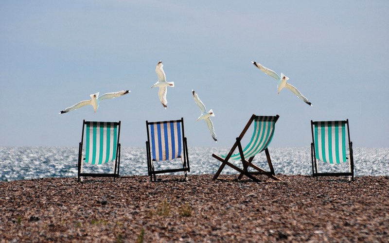 summer beach seagulls deckchairs sea holiday 4k