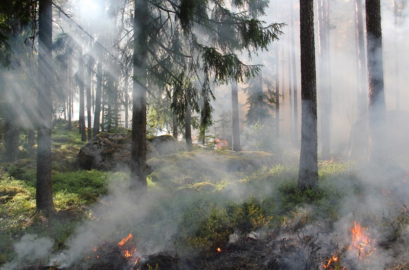 styggkärret reserve burning fire smoke 4k