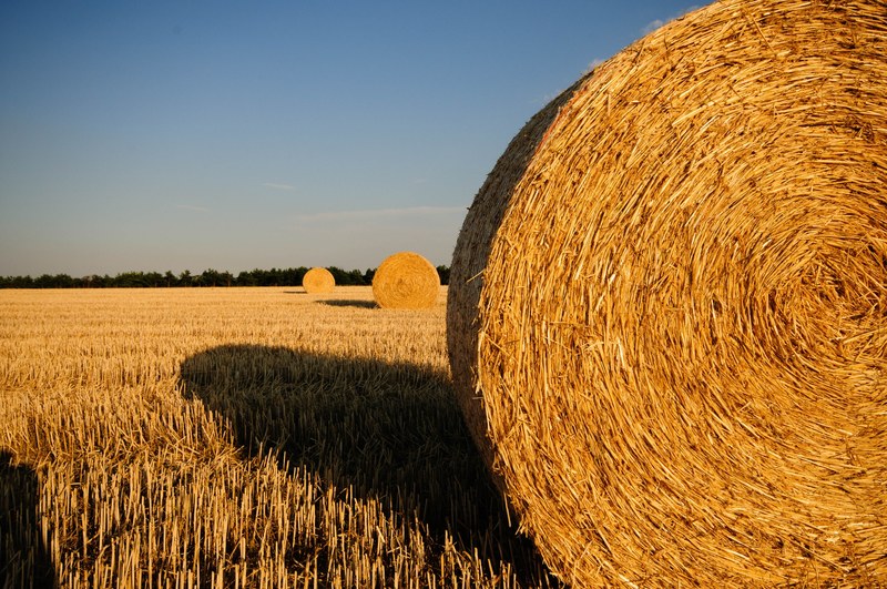 straw bales stubble summer straw field harvested 4k