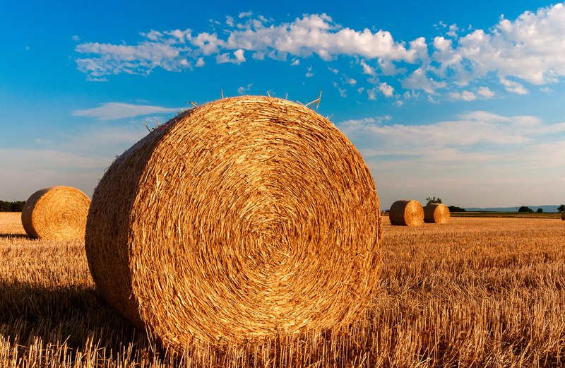 straw bales stubble agriculture summer straw 4k