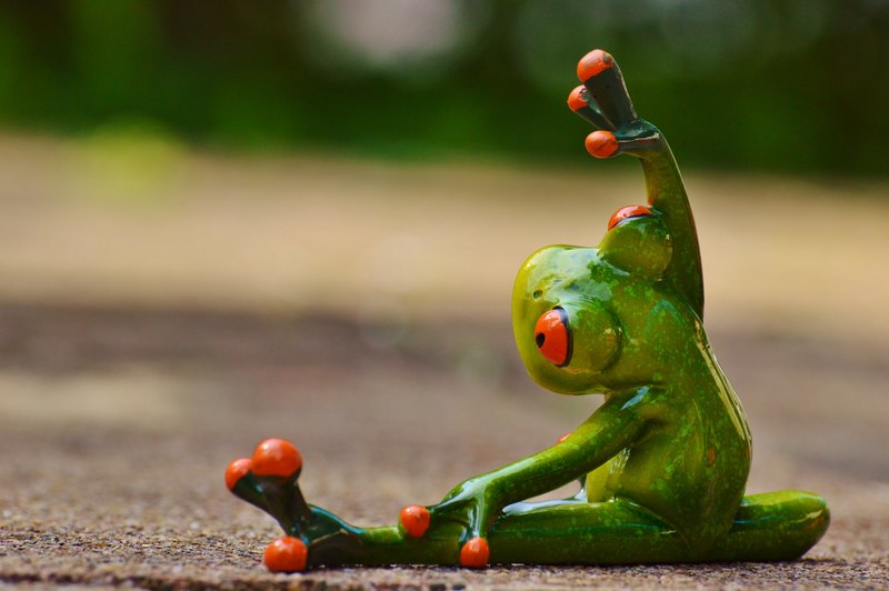 sport gymnastics frog funny fitness fit sporty 4k