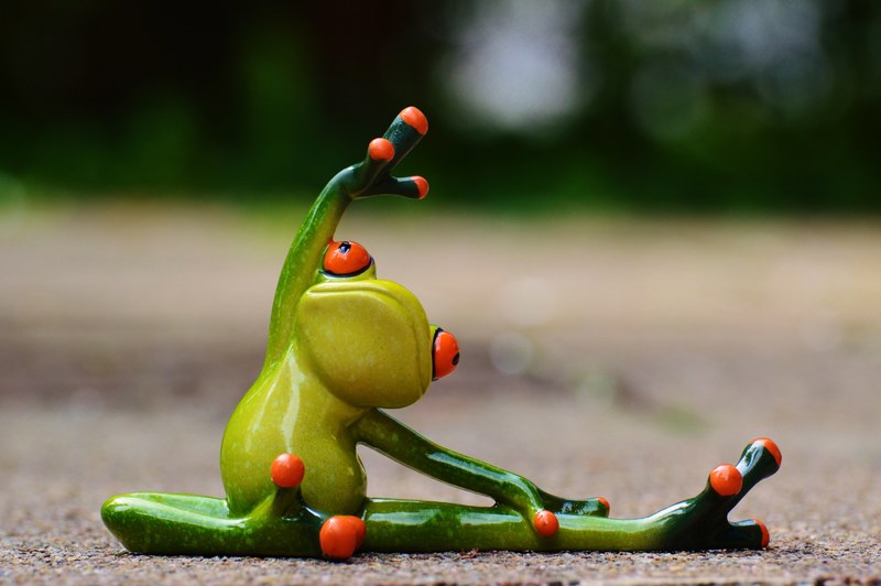 sport gymnastics frog funny fitness fit sporty 4k