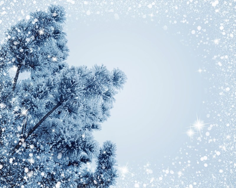 snow christmas holiday frost christmas tree 4k