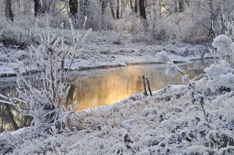snow trees winter water season ice frost snowy 4k