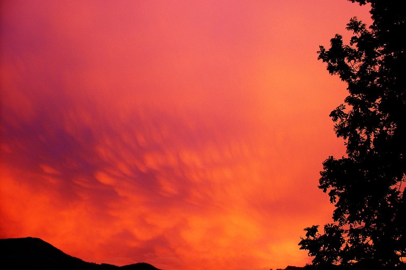 sky forward clouds sunset evening sky weather mood 4k