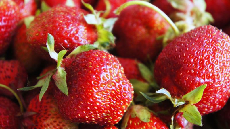 strawberry, berry, sweet, 4k