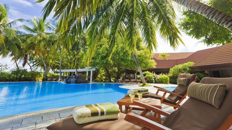 pool, palm, furniture, 4k