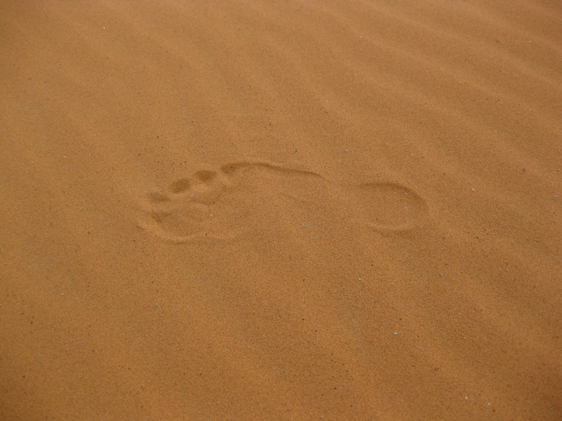 sand desert reprint 4k