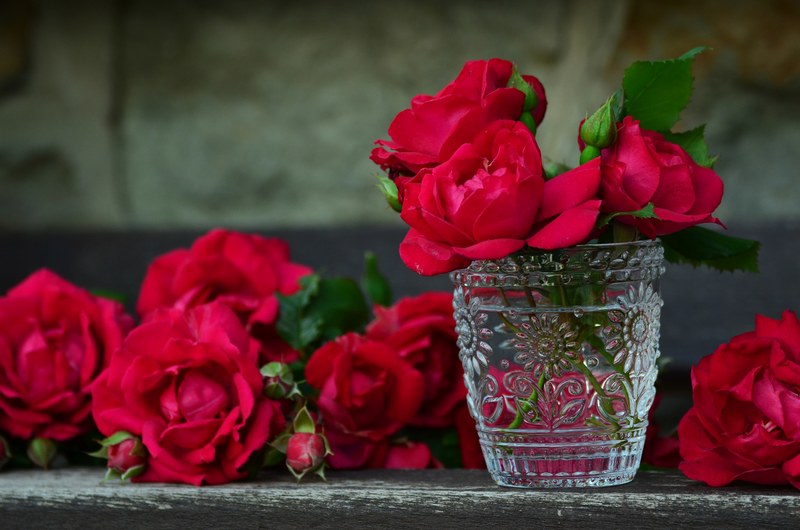 roses red roses bouquet of roses glass rose bloom 4k
