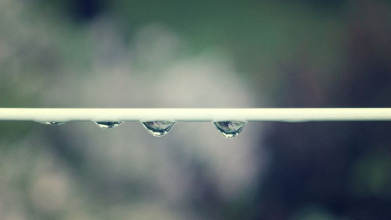 stem, drops, grass, plant, line, 4k