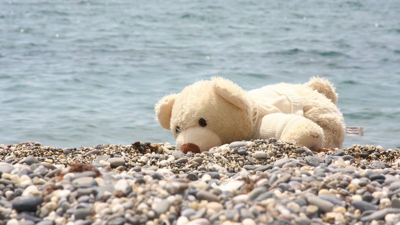 soft toy, bear, beach, rocks, sea, 4k