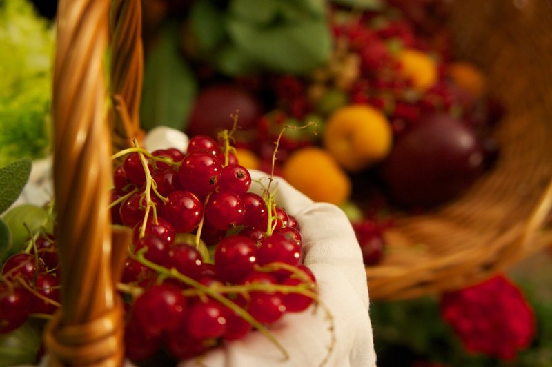 red currant berry red vintage mature fruit basket 4k