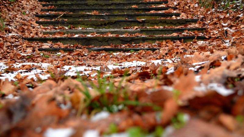 autumn, steps, foliage, snow, 4k