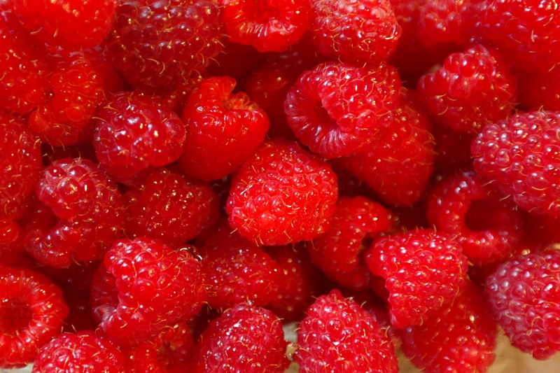 raspberries fruits fruit berries vitamins sweet 4k
