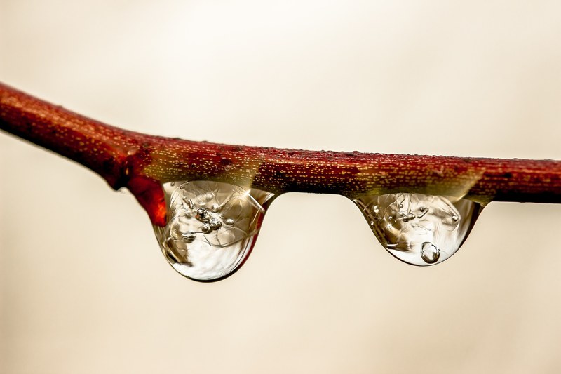 raindrop drop of water rain water drip wet 4k