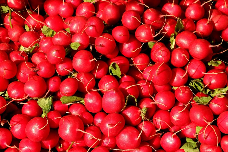 radishes radish vegetables food eat 4k