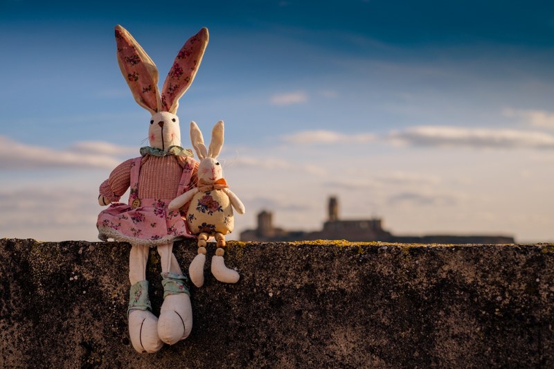 rabbit animals pet children toys teddy sky 4k