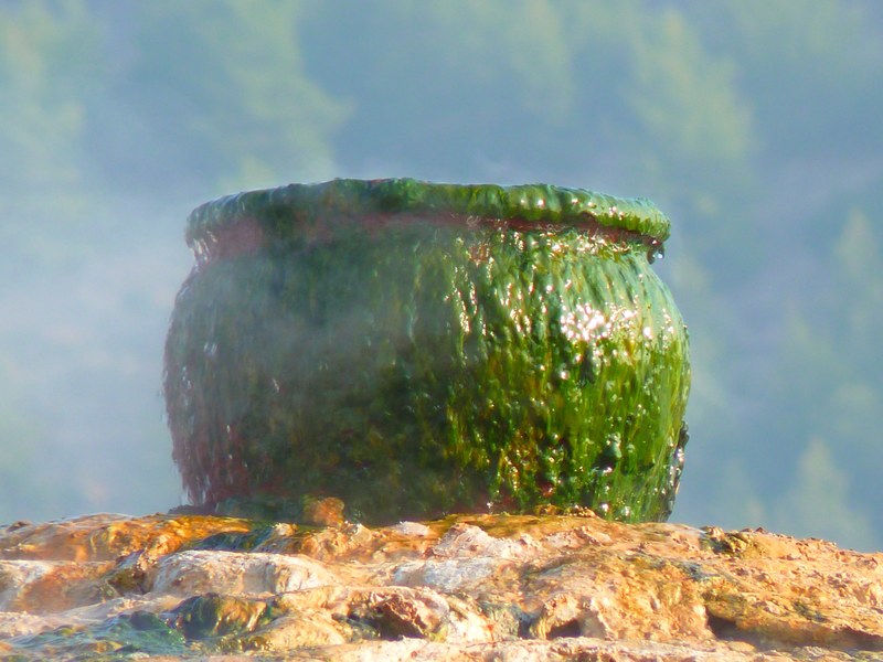 pot cooking pot cauldron green slick slimy steam 4k