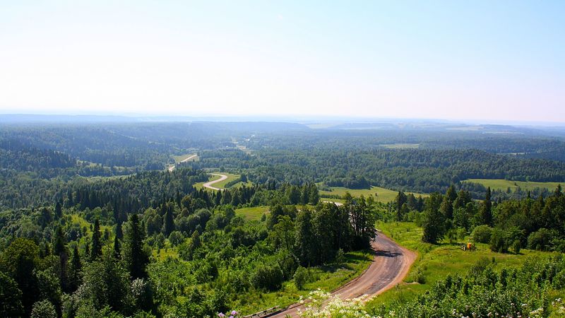 road, look, from above, clearly, trees, landscape, 4k