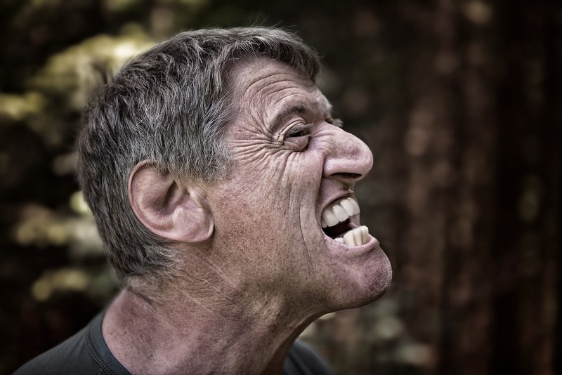person human male man forest males face grim 4k