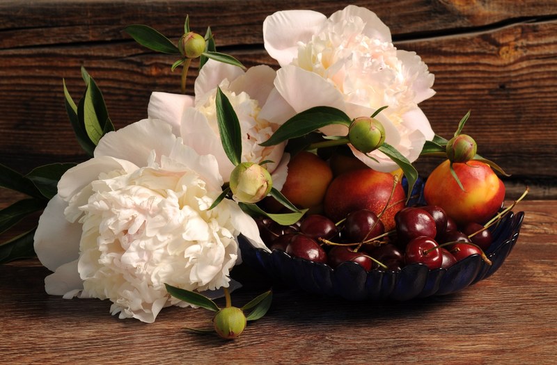 peonies flowers berries cherry peach still life 4k