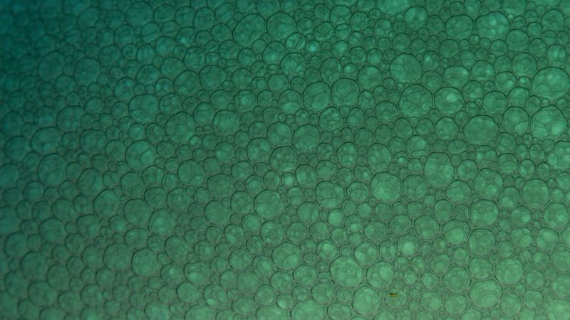 bubbles, particles, pattern, 4k