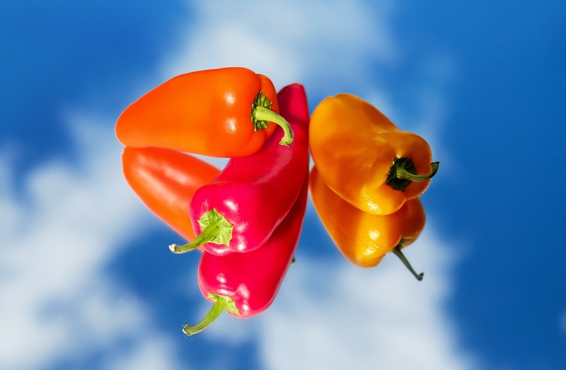 paprika vegetables red yellow orange mirroring 4k