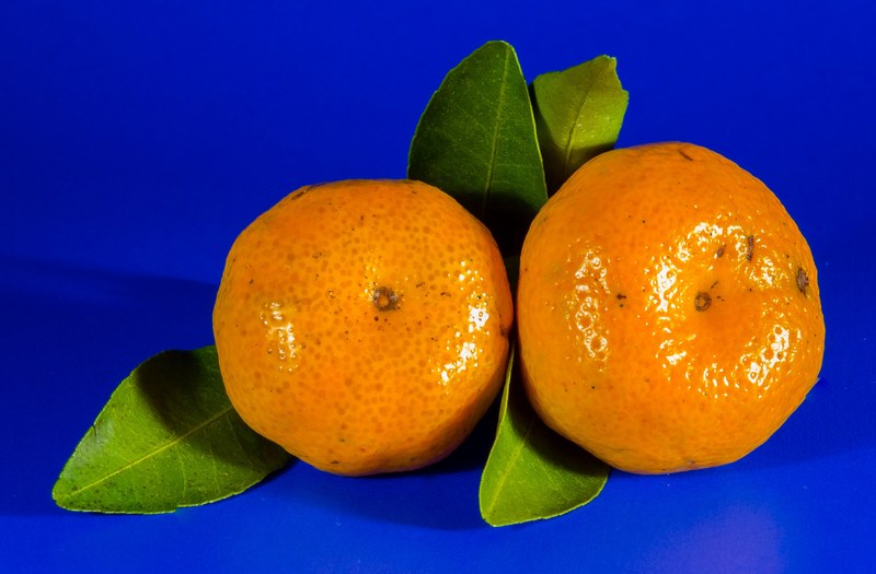 orange mandarin fruit citrus fruit 4k