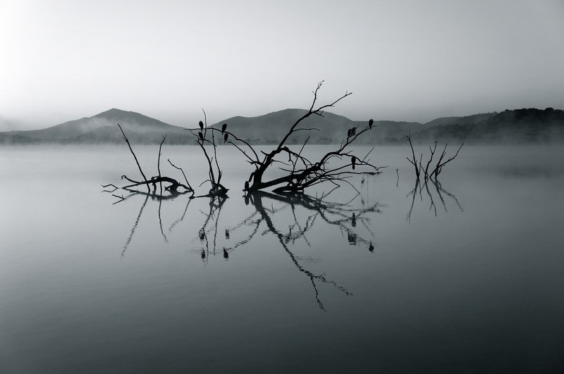 nature reserve africa lake silent rest water 4k