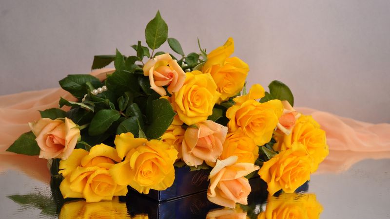 roses, yellow, flower, candy, fabric, 4k