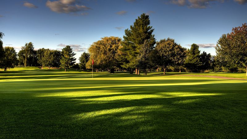 lawn, field, golf, trees, 4k