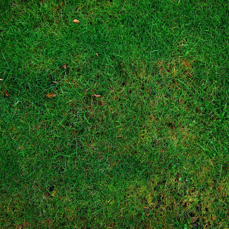 meadow grass structure texture halme green 4k