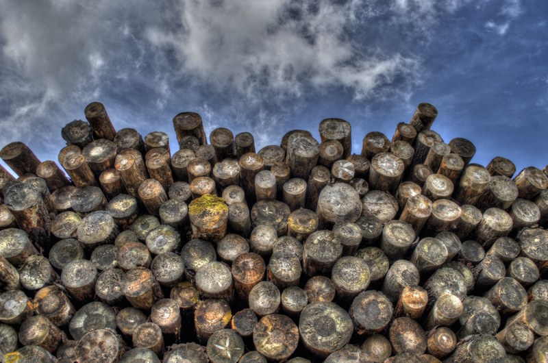 logs wood timber lumber woodpile forestry logging 4k