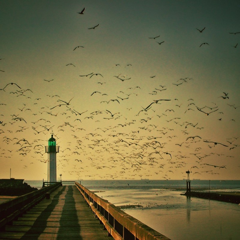 lighthouse gulls sky seagull fly sea water 4k
