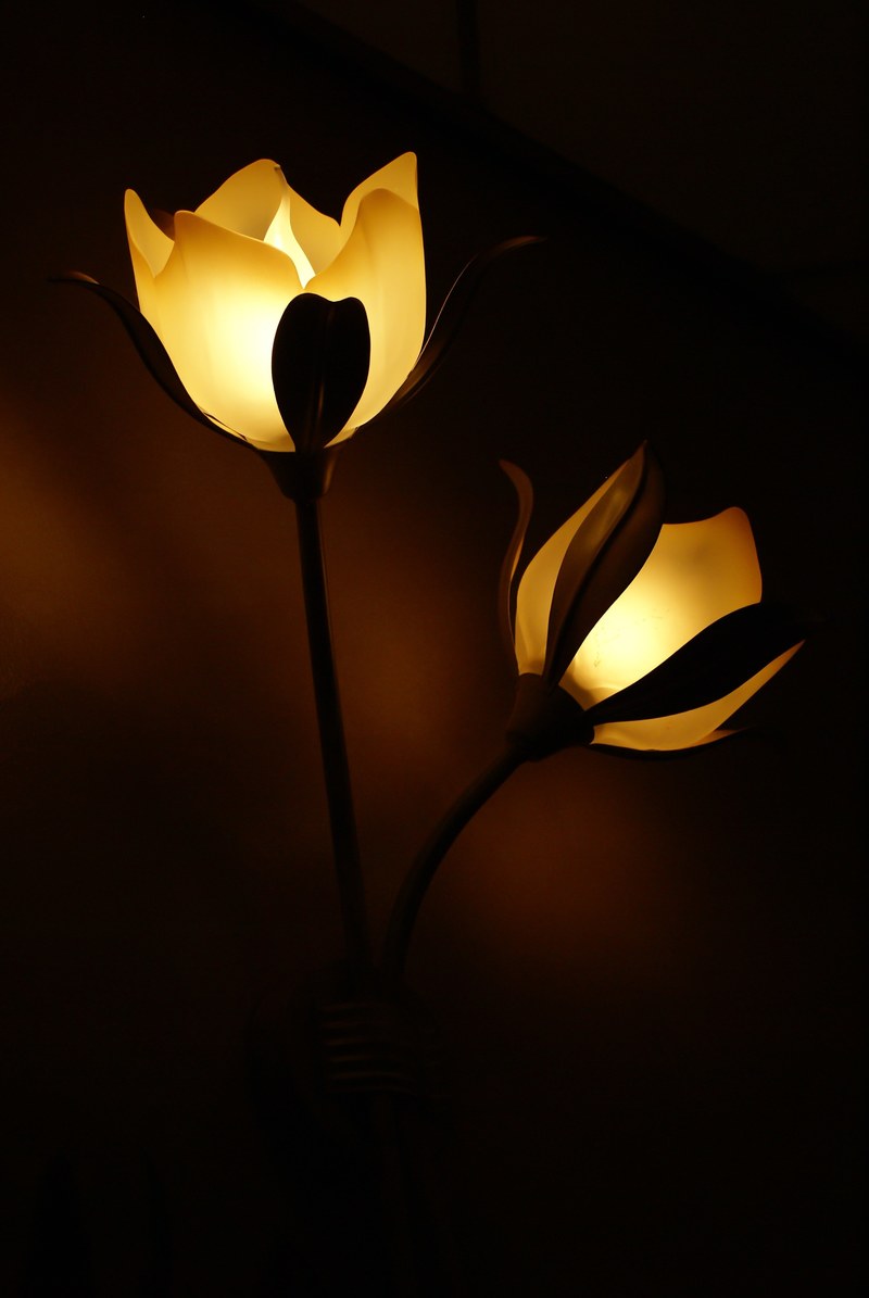 lamp flower light lamps lighting dark wall lamp 4k