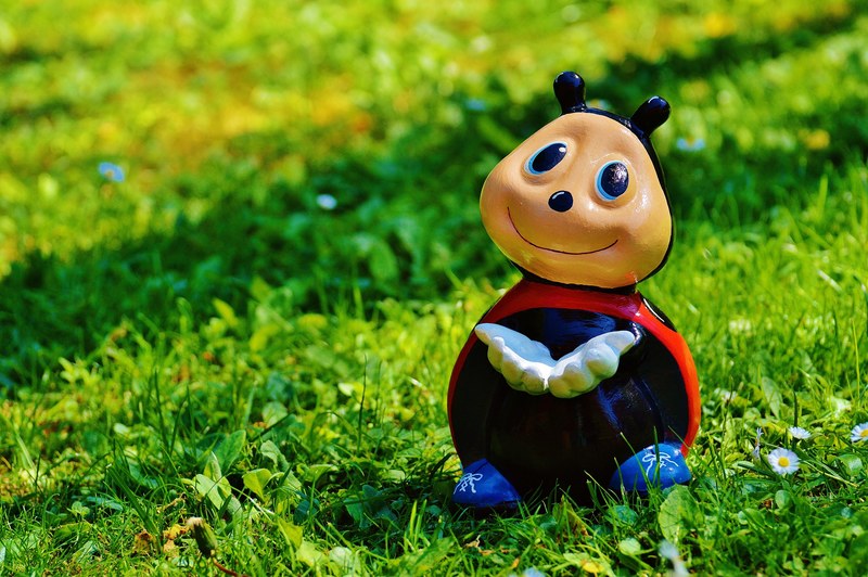 ladybug figure funny lucky ladybug color sweet 4k