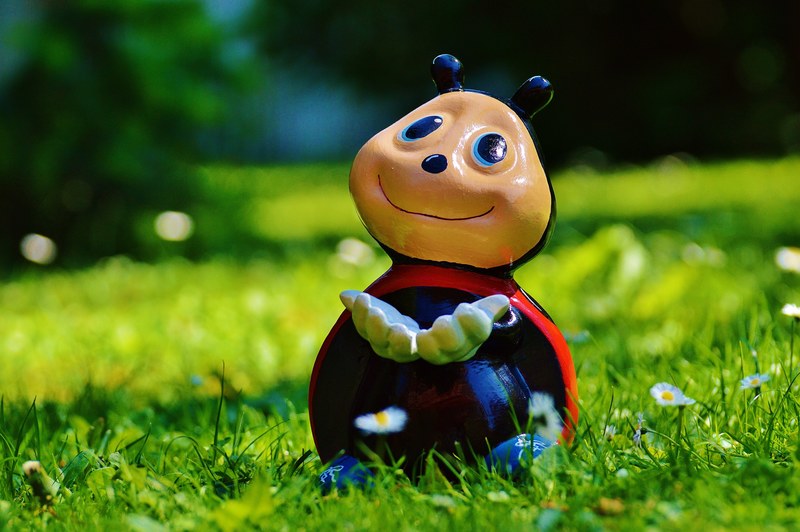 ladybug figure funny lucky ladybug color sweet 4k