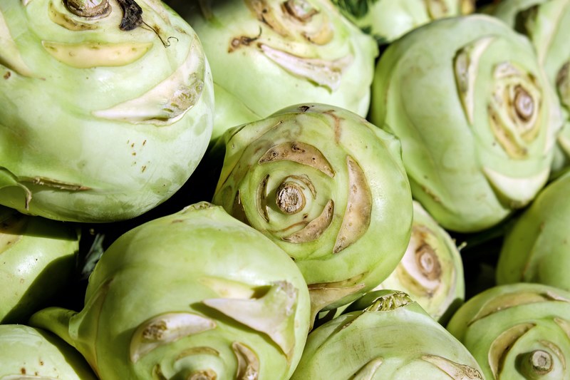 kohlrabi vegetables cabbage vegetable plant food 4k