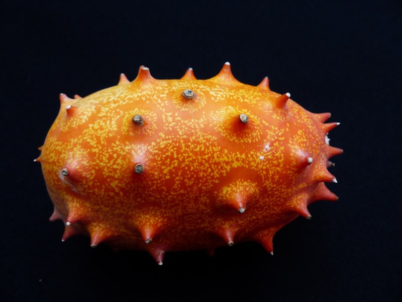 kiwano fruit horn cucumber prickly horn melon 4k