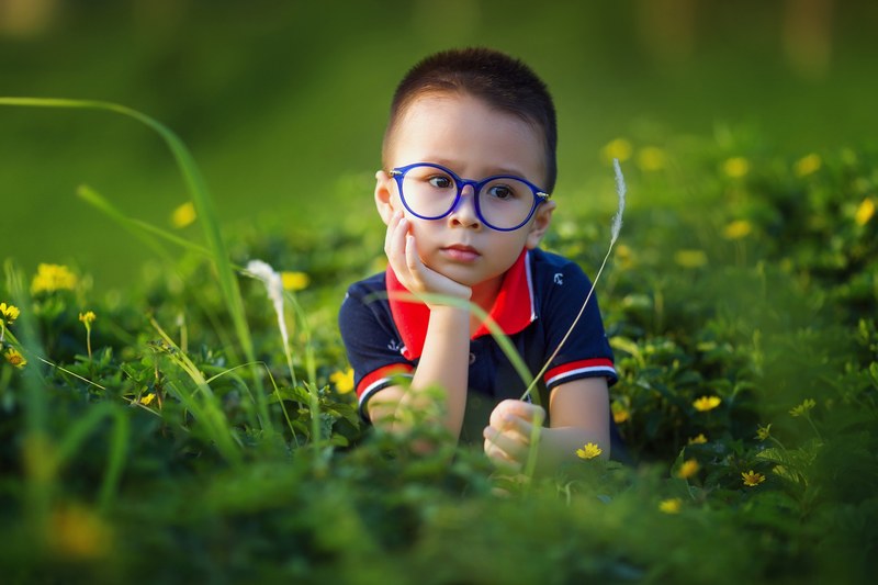 kids baby the son dear the grassland the child 4k