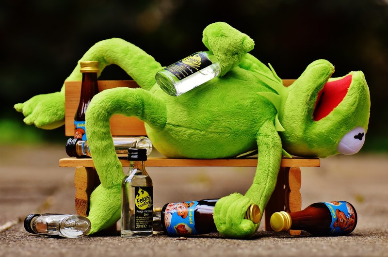 kermit frog drink alcohol drunk bank rest sit 4k