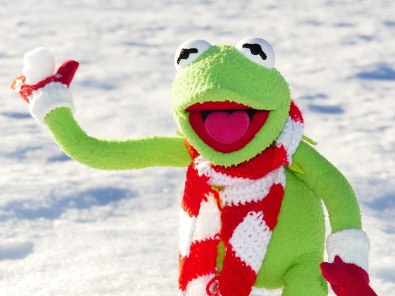 kermit frog snow ball throw snow winter cold fun 4k