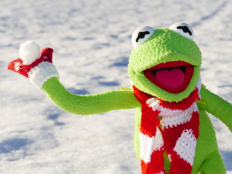 kermit frog snow ball throw snow winter cold fun 4k